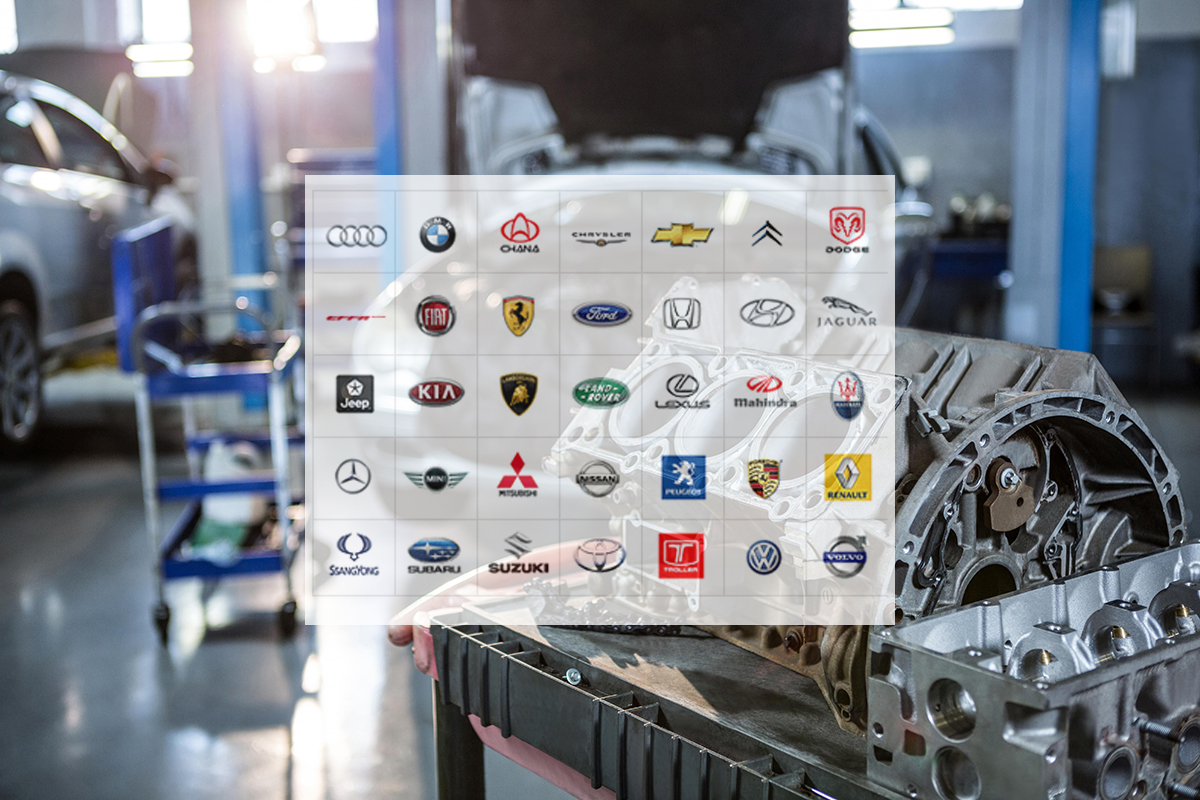 SU GARANTÍA OFICIAL